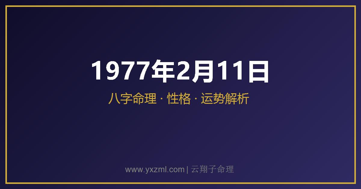 1977 年 2 月 11 日出生八字分析