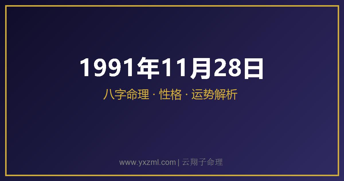 1991 年 11 月 28 日出生八字分析