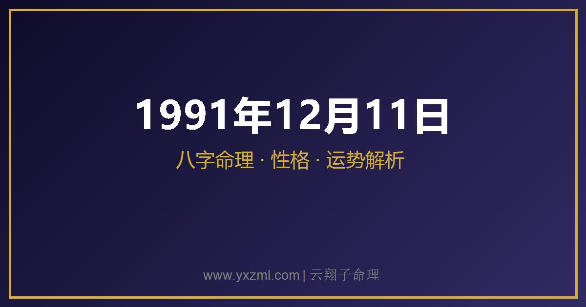 1991 年 12 月 11 日出生八字分析