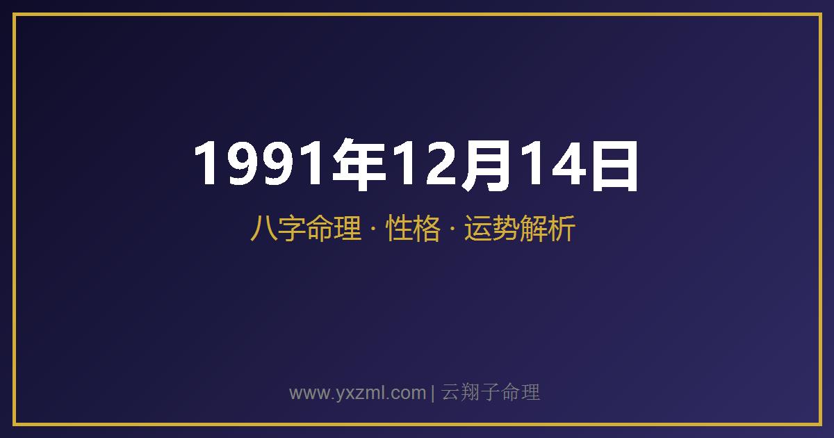 1991 年 12 月 14 日出生八字分析