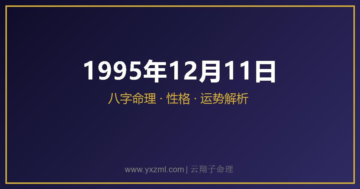 1995 年 12 月 11 日出生八字分析