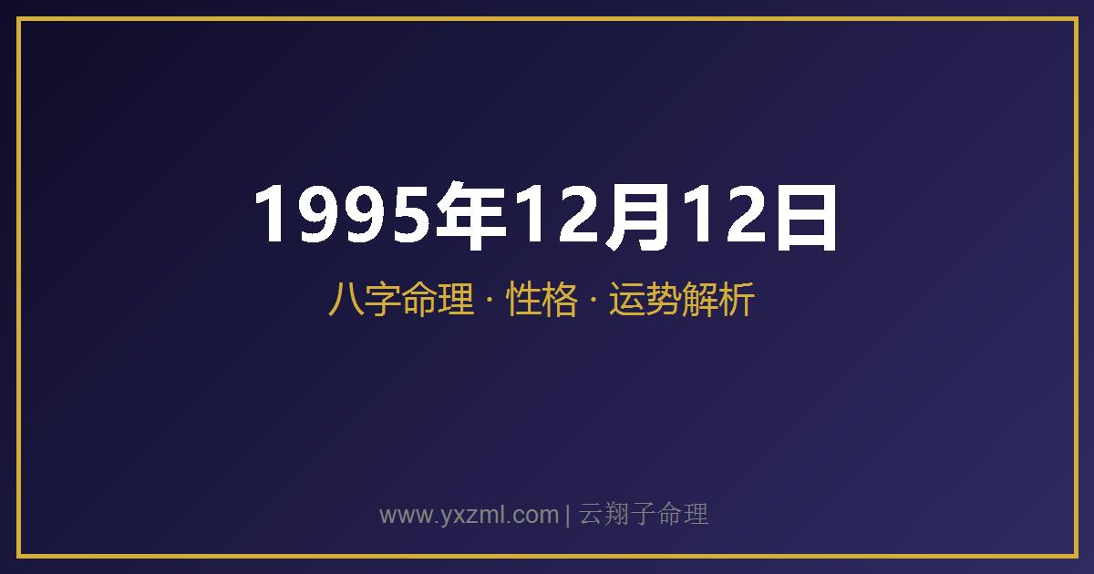 1995 年 12 月 12 日出生八字分析