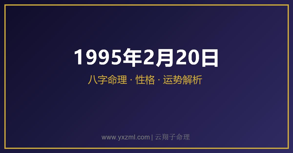 1995 年 2 月 20 日出生八字分析