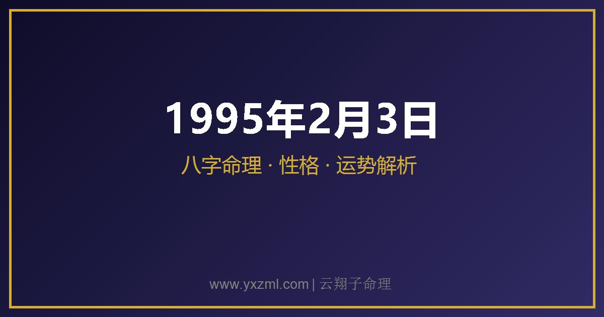 1995 年 2 月 3 日出生八字分析