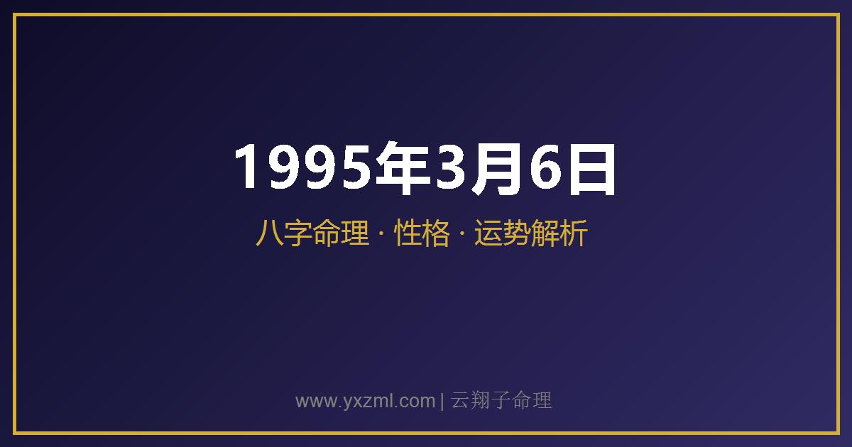 1995 年 3 月 6 日出生八字分析