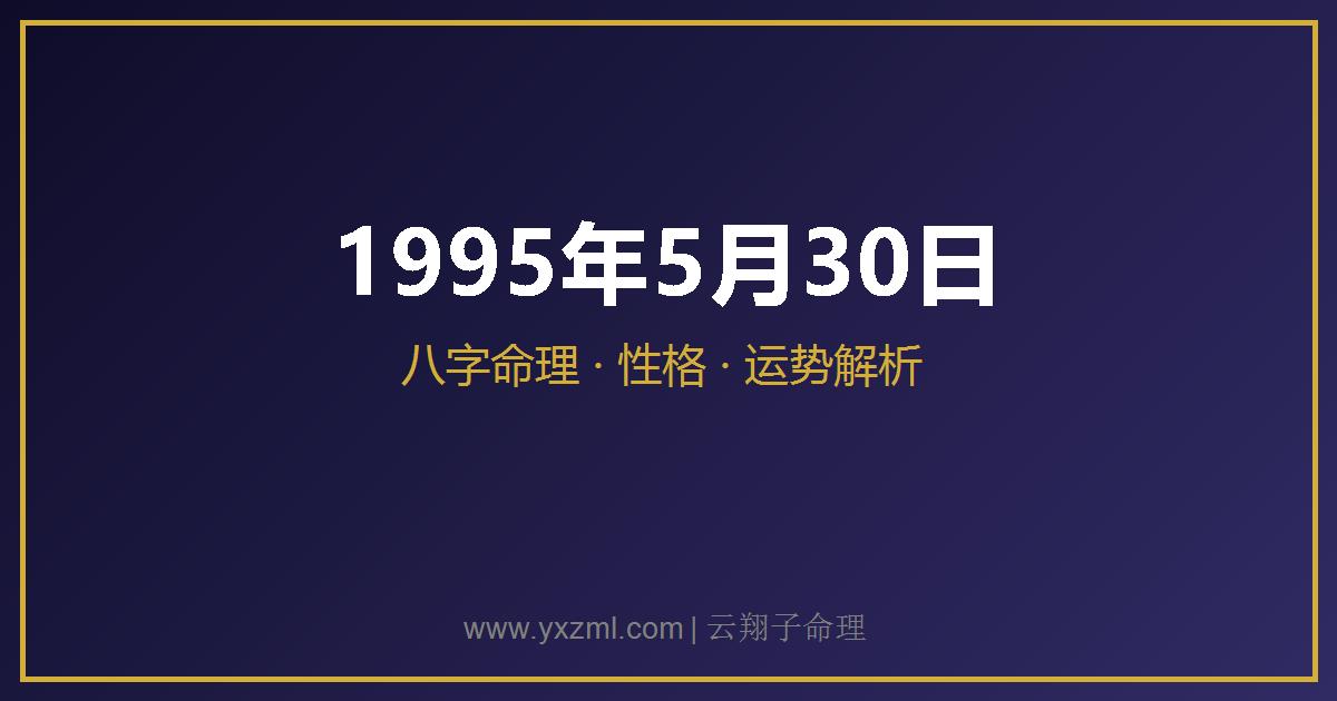 1995 年 5 月 30 日出生八字分析