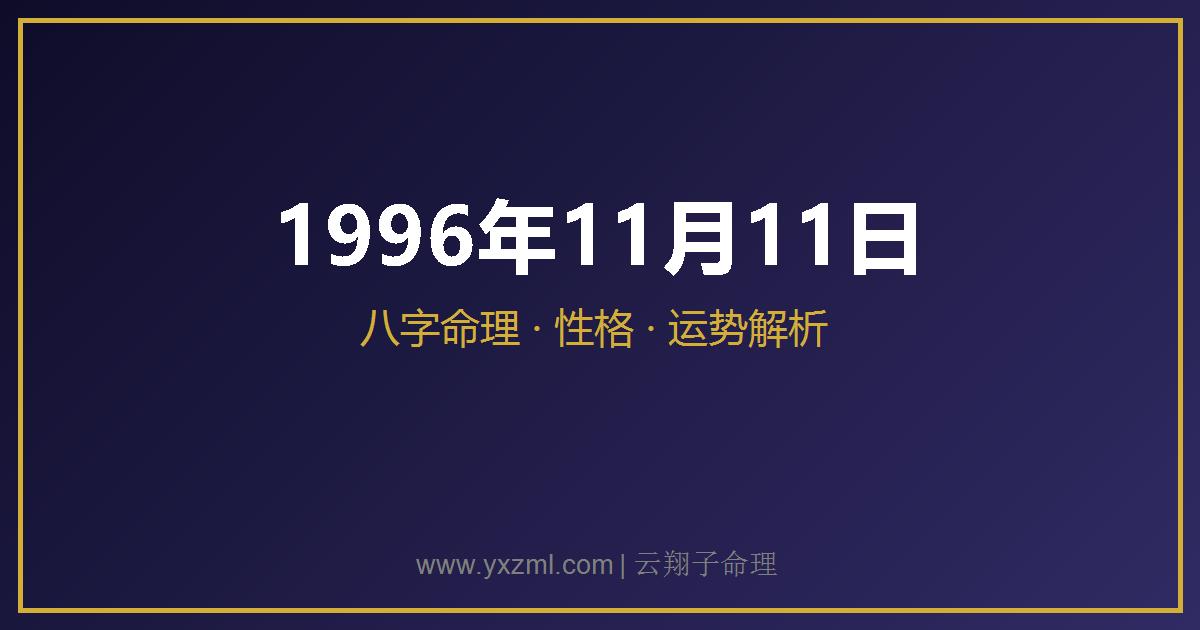 1996 年 11 月 11 日出生八字分析