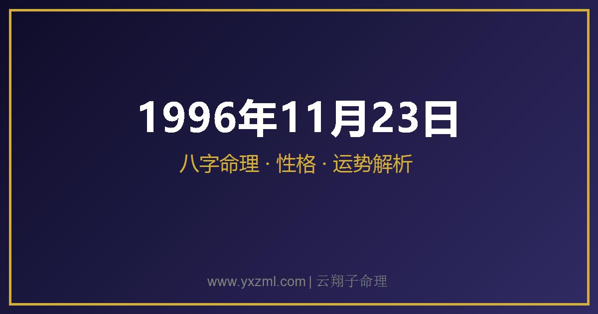 1996 年 11 月 23 日出生八字分析