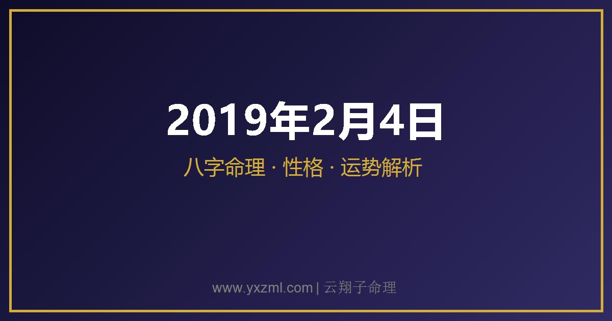 2019 年 2 月 4 日出生八字分析