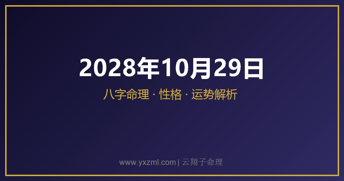2028 年 10 月 29 日出生八字分析