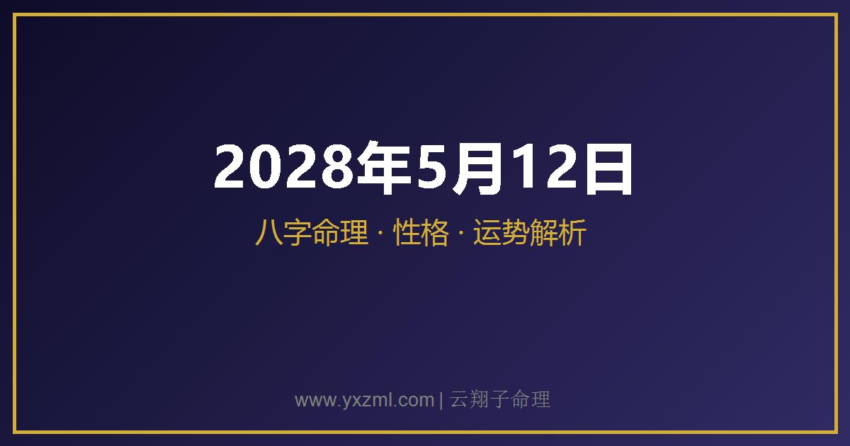 2028 年 5 月 12 日出生八字分析